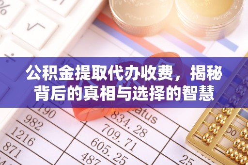 茶陵公积金提取代办收费，揭秘背后的真相与选择的智慧