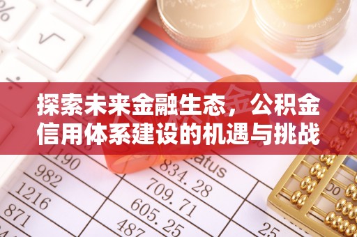 茶陵探索未来金融生态，公积金信用体系建设的机遇与挑战