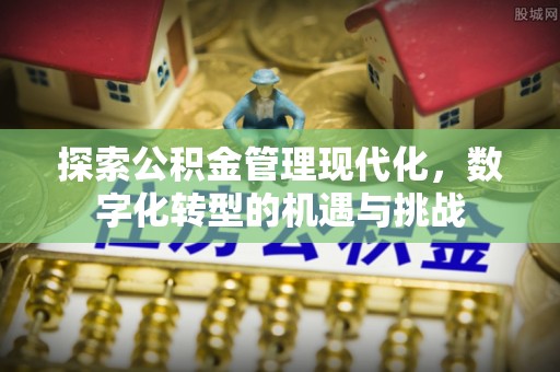 茶陵探索公积金管理现代化，数字化转型的机遇与挑战
