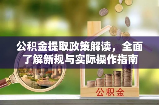 茶陵公积金提取政策解读，全面了解新规与实际操作指南