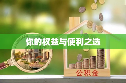 茶陵你的权益与便利之选