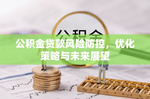 茶陵公积金贷款风险防控，优化策略与未来展望