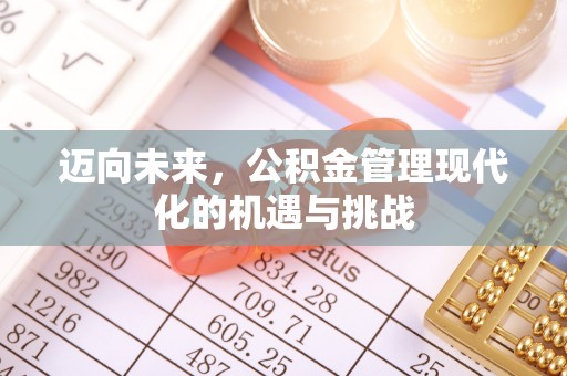 茶陵迈向未来，公积金管理现代化的机遇与挑战