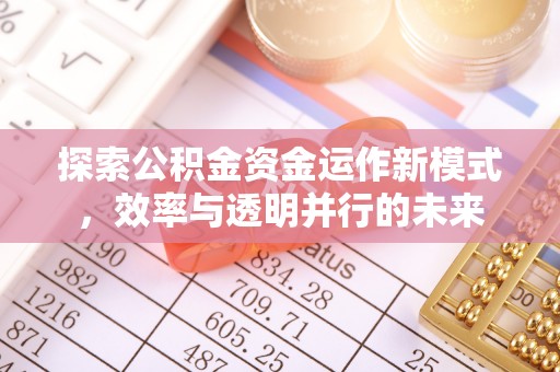 茶陵探索公积金资金运作新模式，效率与透明并行的未来