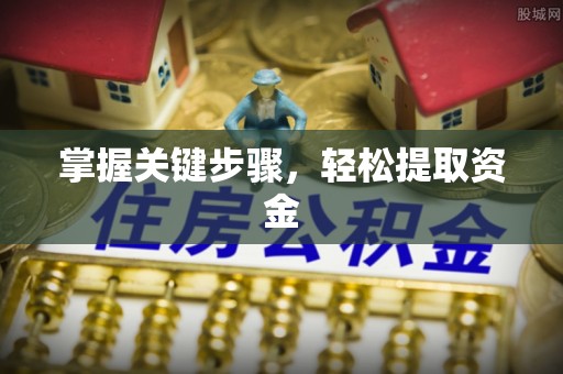 茶陵掌握关键步骤，轻松提取资金