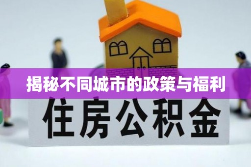 茶陵揭秘不同城市的政策与福利