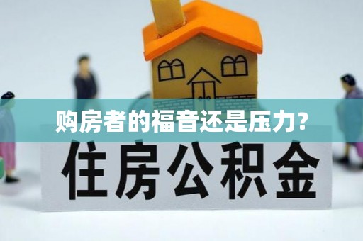 茶陵购房者的福音还是压力？