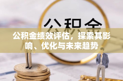 茶陵公积金绩效评估，探索其影响、优化与未来趋势