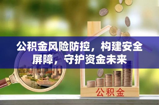 茶陵公积金风险防控，构建安全屏障，守护资金未来
