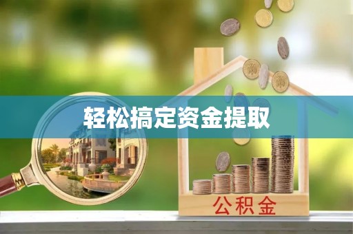 茶陵轻松搞定资金提取