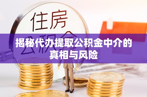 茶陵揭秘代办提取公积金中介的真相与风险