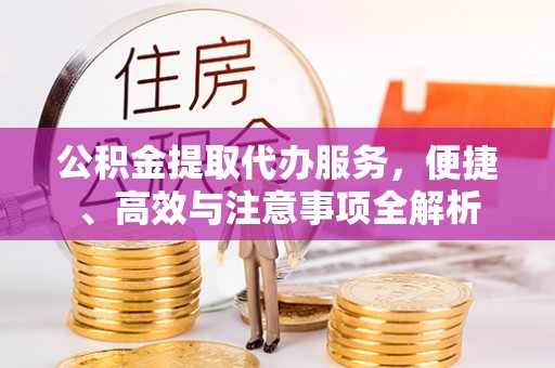 茶陵公积金提取代办服务，便捷、高效与注意事项全解析