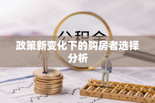 茶陵政策新变化下的购房者选择分析