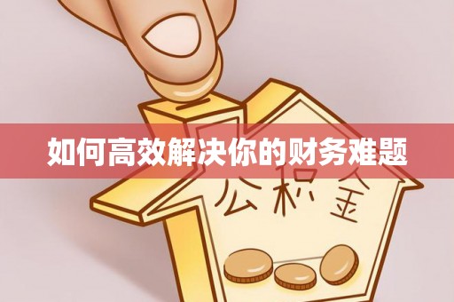 茶陵如何高效解决你的财务难题