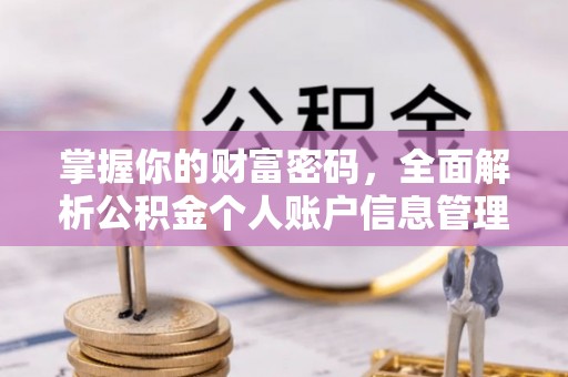 茶陵掌握你的财富密码，全面解析公积金个人账户信息管理