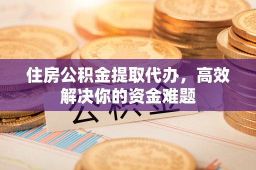茶陵住房公积金提取代办，高效解决你的资金难题