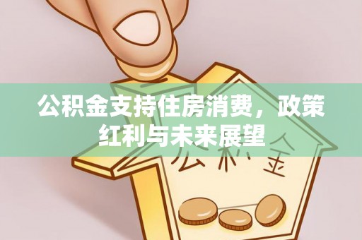 茶陵公积金支持住房消费，政策红利与未来展望