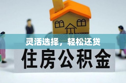 茶陵灵活选择，轻松还贷