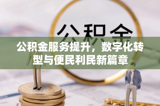 茶陵公积金服务提升，数字化转型与便民利民新篇章