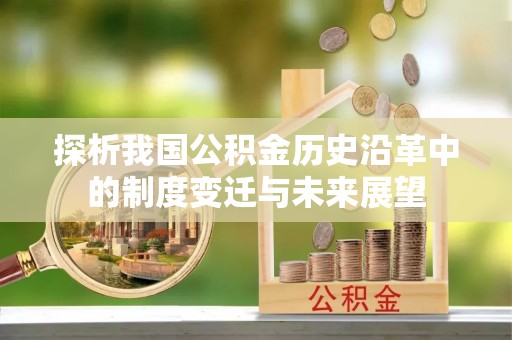 茶陵探析我国公积金历史沿革中的制度变迁与未来展望
