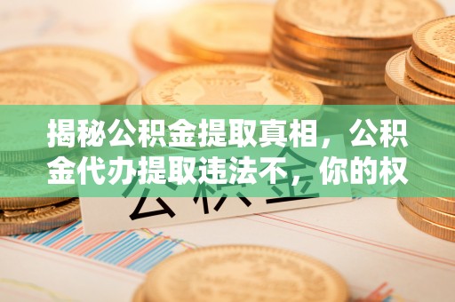 茶陵揭秘公积金提取真相，公积金代办提取违法不，你的权益如何保障？