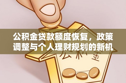 茶陵公积金贷款额度恢复，政策调整与个人理财规划的新机遇
