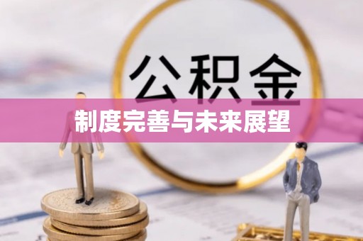 茶陵制度完善与未来展望