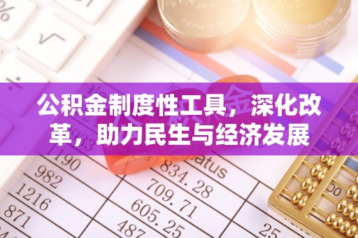 茶陵公积金制度性工具，深化改革，助力民生与经济发展
