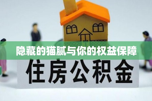 茶陵隐藏的猫腻与你的权益保障