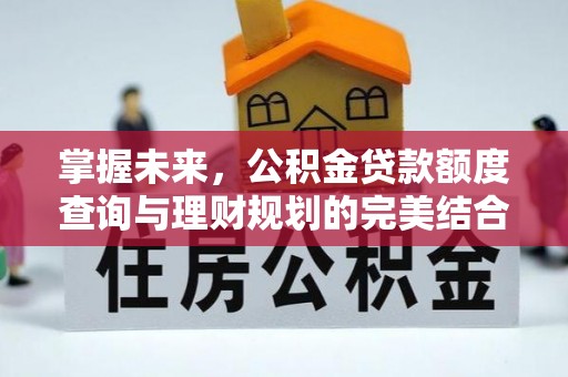 茶陵掌握未来，公积金贷款额度查询与理财规划的完美结合
