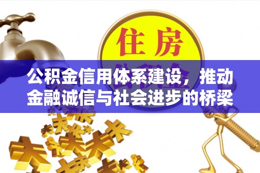 茶陵公积金信用体系建设，推动金融诚信与社会进步的桥梁