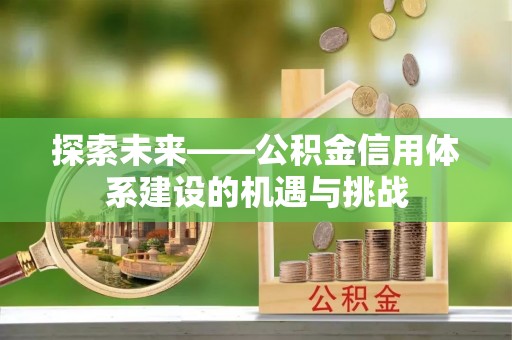茶陵探索未来——公积金信用体系建设的机遇与挑战