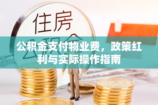 茶陵公积金支付物业费，政策红利与实际操作指南