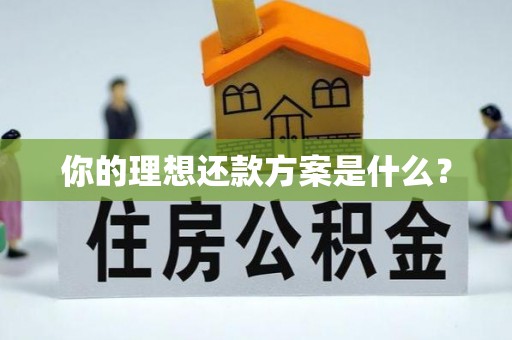 茶陵你的理想还款方案是什么？