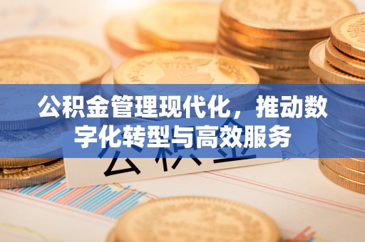 茶陵公积金管理现代化，推动数字化转型与高效服务