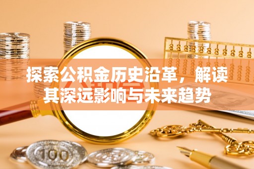 茶陵探索公积金历史沿革，解读其深远影响与未来趋势