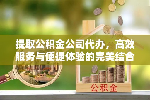 茶陵提取公积金公司代办，高效服务与便捷体验的完美结合