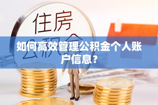 茶陵如何高效管理公积金个人账户信息？