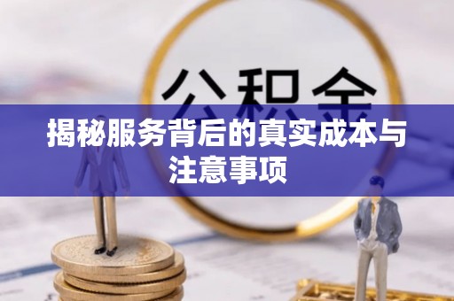 茶陵揭秘服务背后的真实成本与注意事项
