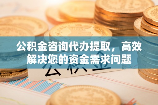 茶陵公积金咨询代办提取，高效解决您的资金需求问题
