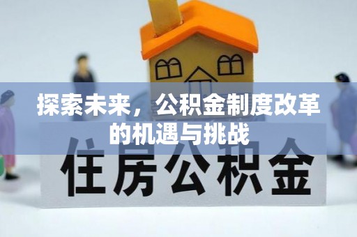 茶陵探索未来，公积金制度改革的机遇与挑战