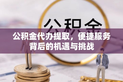 茶陵公积金代办提取，便捷服务背后的机遇与挑战