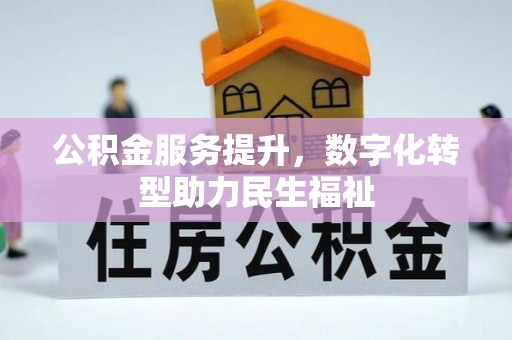 茶陵公积金服务提升，数字化转型助力民生福祉