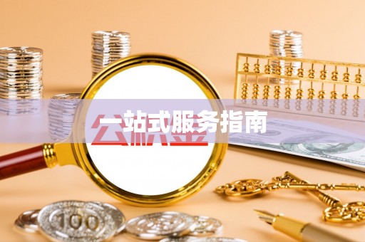 茶陵一站式服务指南