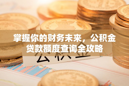 茶陵掌握你的财务未来，公积金贷款额度查询全攻略