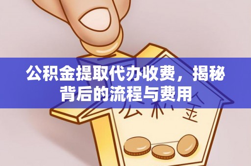 茶陵公积金提取代办收费，揭秘背后的流程与费用
