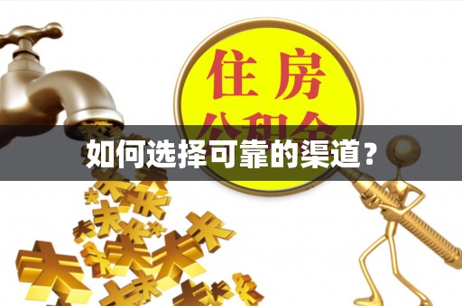 茶陵如何选择可靠的渠道？