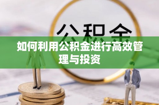 茶陵如何利用公积金进行高效管理与投资