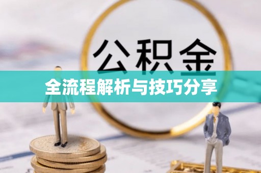 茶陵全流程解析与技巧分享