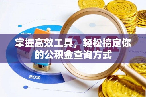 茶陵掌握高效工具，轻松搞定你的公积金查询方式